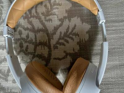 Zagg Ifrogz Impulse Headphones