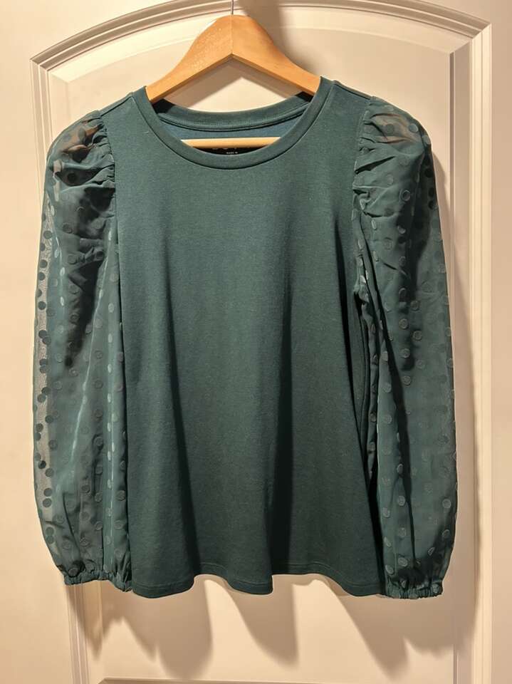 Ann Taylor Loft Sheer Long Sleeve shirt Xs