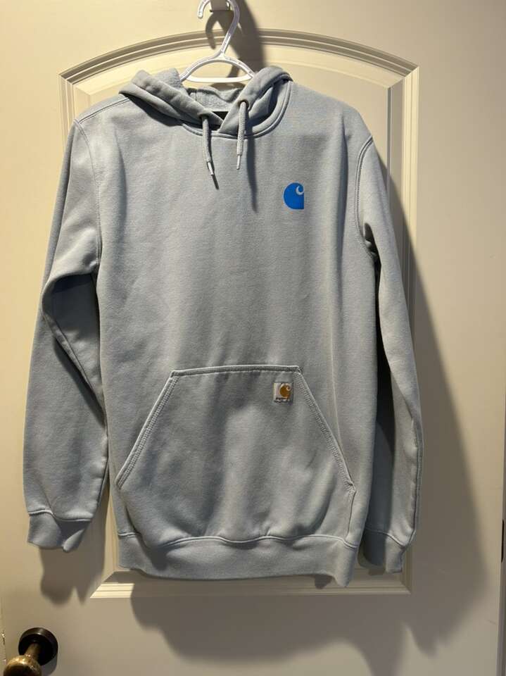 Carhartt Hoodie Sweatshirt Mens Small Blue