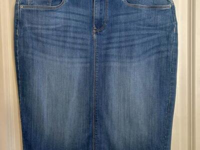 Gap Denim Skirt Size 8 Medium Blue 29 R