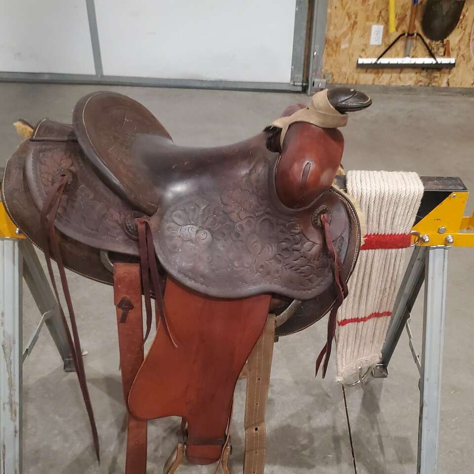 Saddle Livestock