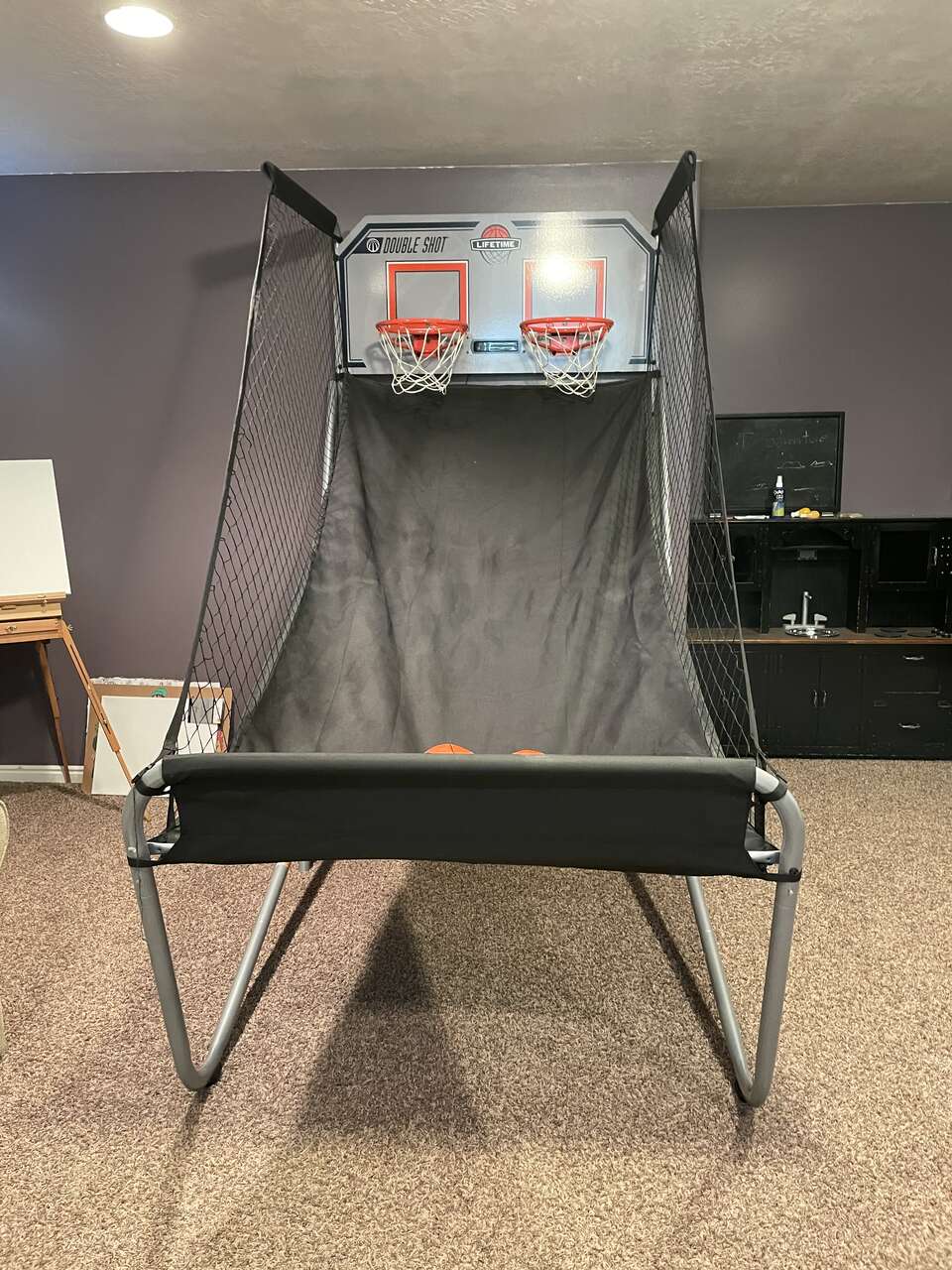 Lifetime Double Shot basketball hoop *reduced price for quick sell*