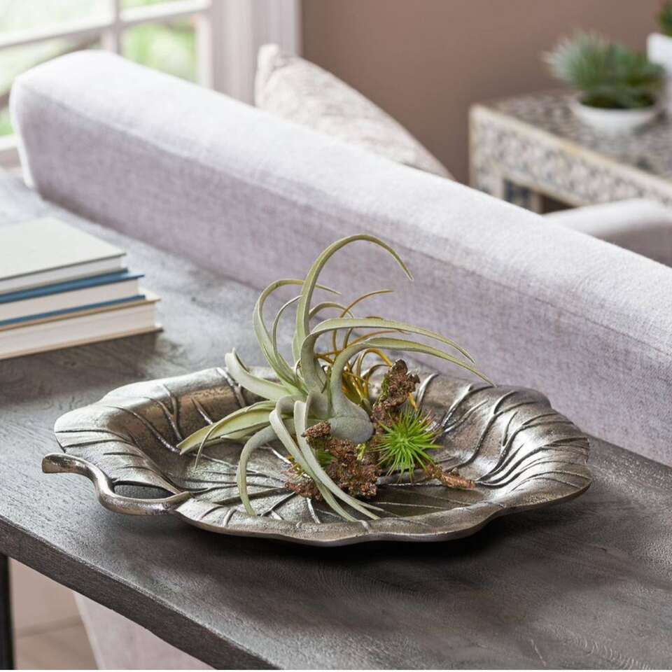 $16 LESS THAN HOME DEPOT! BRAND NEW Noble House Sparks Antique Nickel Aluminum Leaf Dish