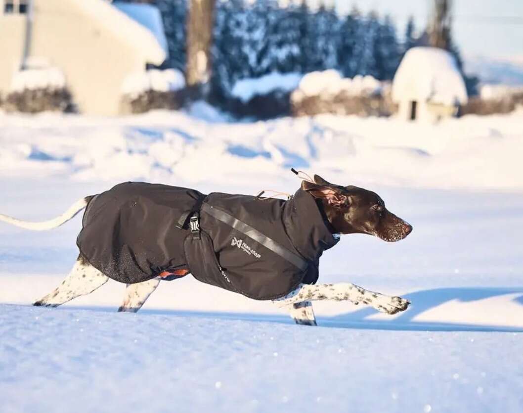 SAVE $30! BRAND NEW WITH TAGS Non-stop Dogwear TREKKING Insulated Dog Jackets (MULTIPLE SIZES AVAILABLE)