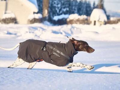 SAVE $30! BRAND NEW WITH TAGS Non-stop Dogwear TREKKING Insulated Dog Jackets (MULTIPLE SIZES AVAILABLE)