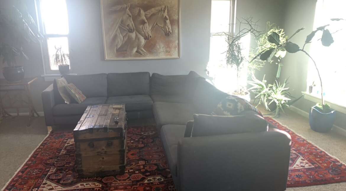 Sectional Couch Furniture