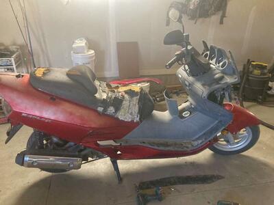 Honda Reflex 250 Parting Out