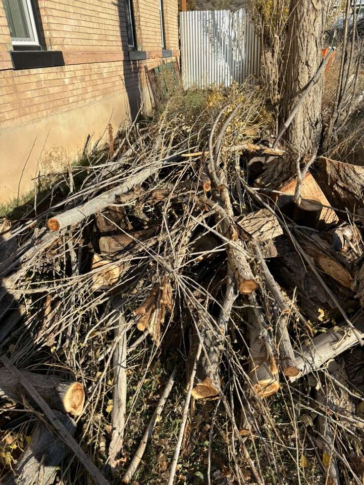 Free Firewood FREE