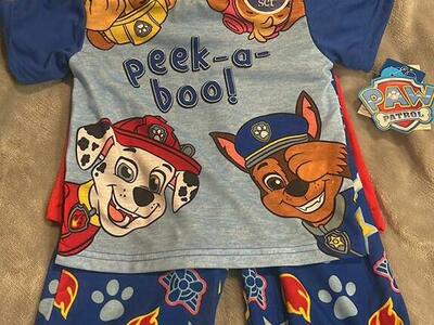 Toddler Paw Patrol PJS Size 2T