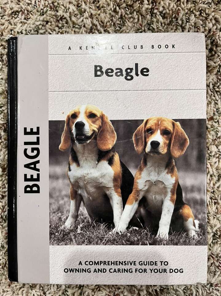 Book Beagle A Kennel Club Book