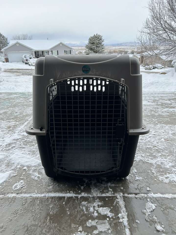 Large Dog Kennel/crate Pets