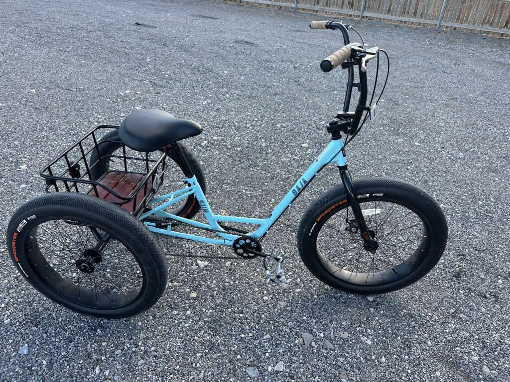 Sun Baja Tricycle