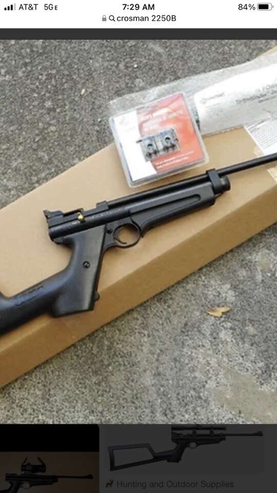 Pellet Guns - In Search Of To Purchase