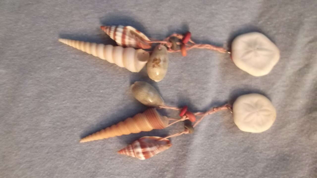 Sand Dollar Ear Rings