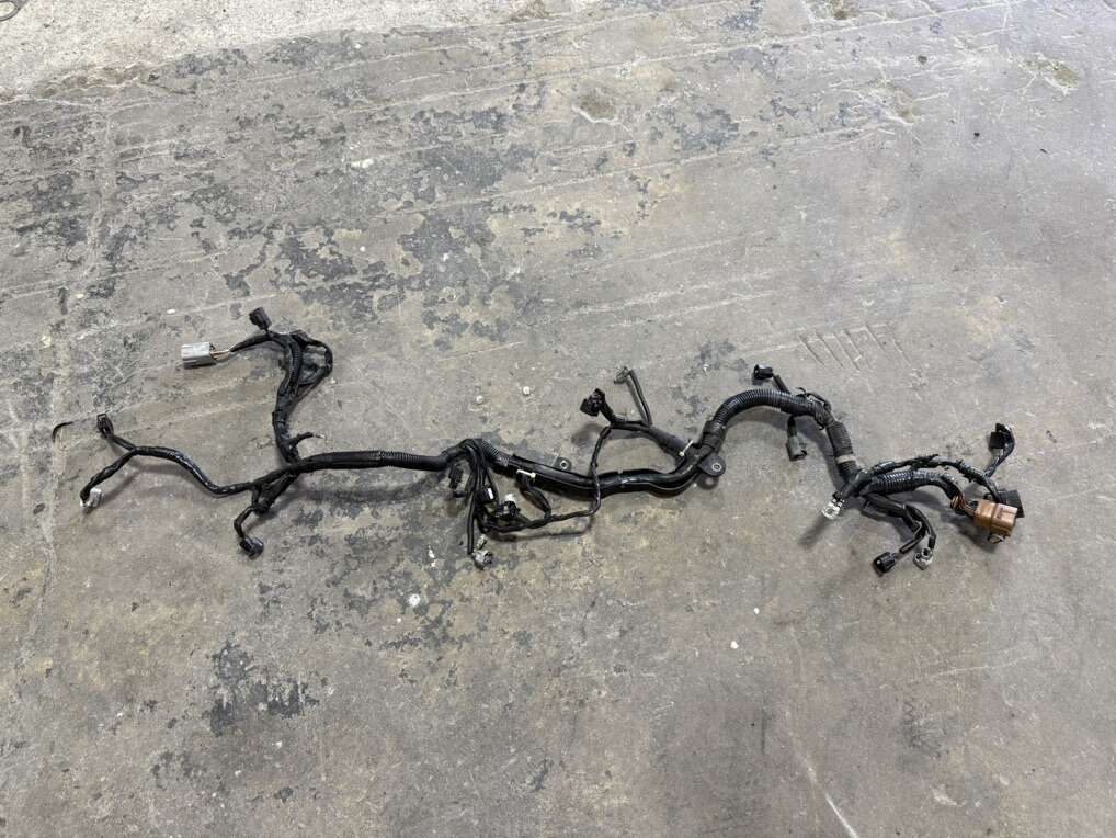 Engine Harness