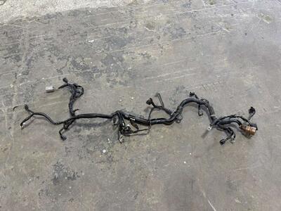 Engine Harness