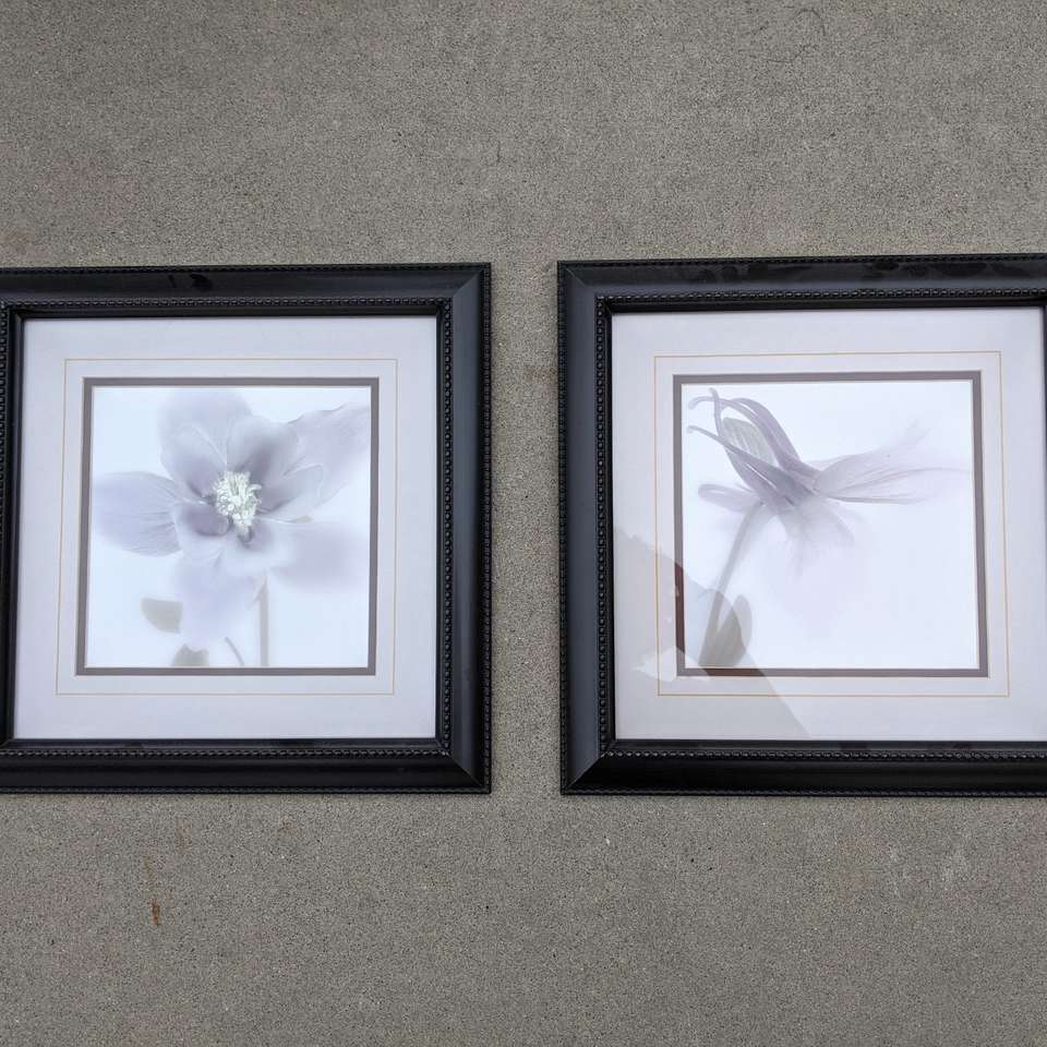 Set of Two Framed Matted Flower Art Pictures