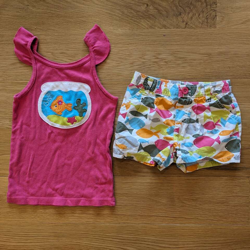 Carter's Girl Summer Clothes Top & Shorts - size 5