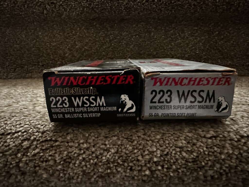 Winchester 223 WSSM ammo