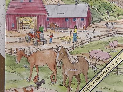 Italian Picture word book