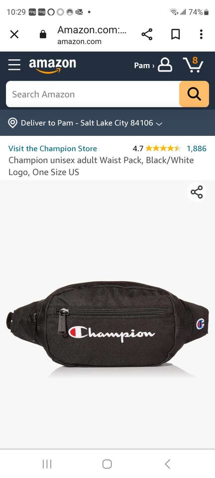 BRAND NEW CHAMPION WAIST BAG