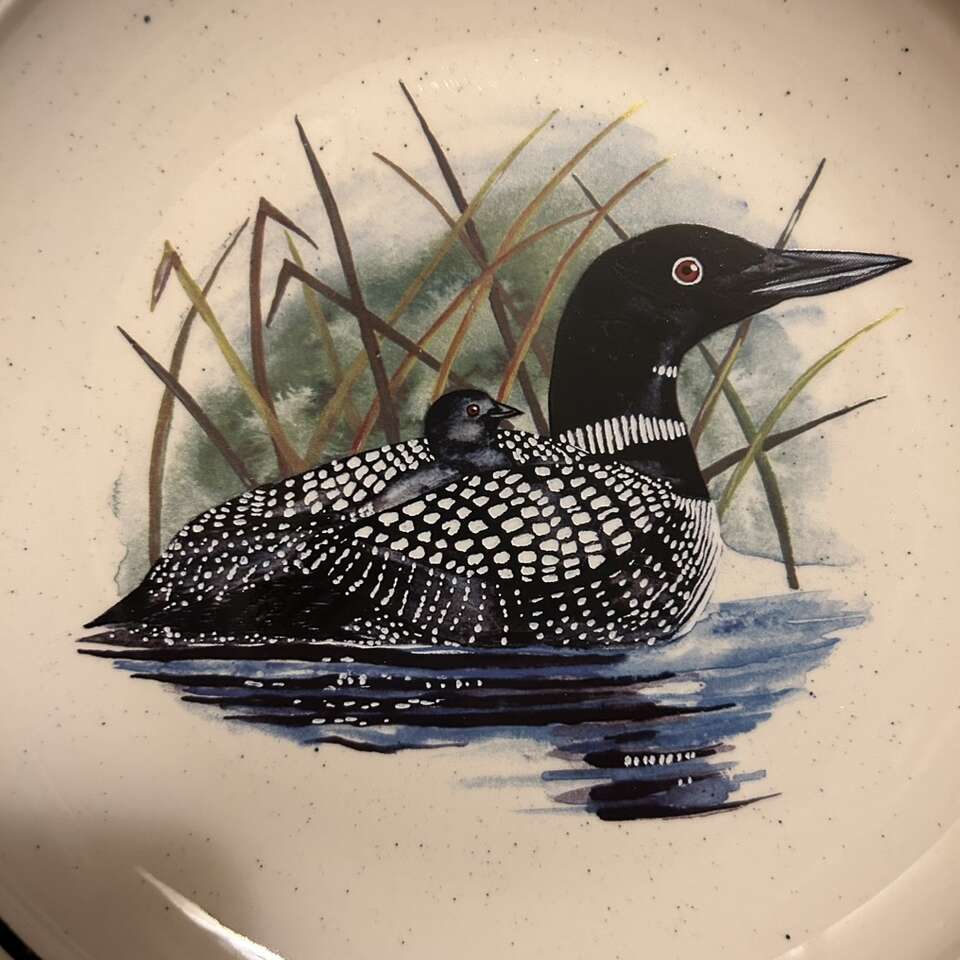 NEW VTG Loon Lake Dishes Stoneware Folkcraft Duck