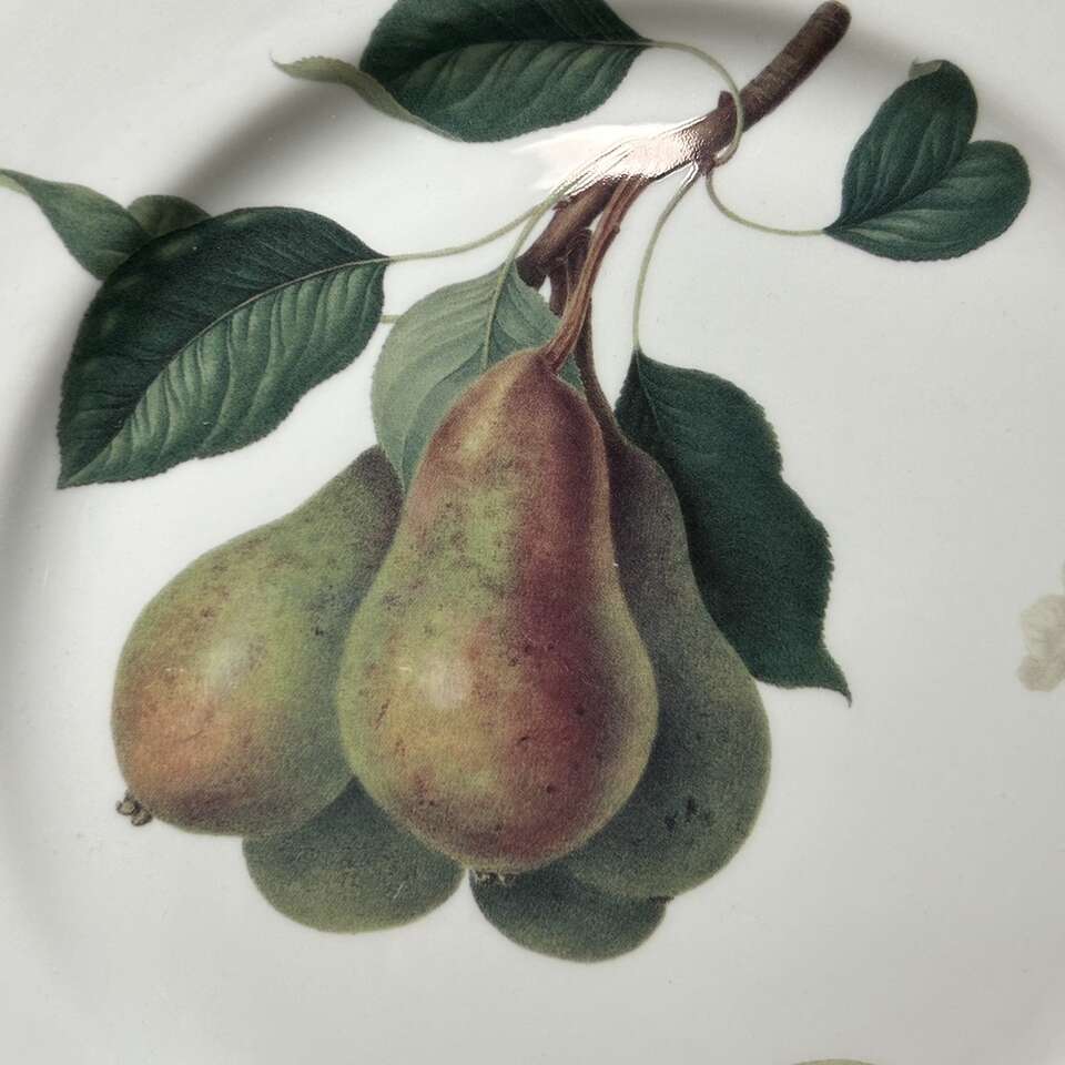 VIntagePppp Horticultural Society Bone China Plate