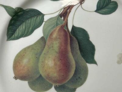 VIntagePppp Horticultural Society Bone China Plate