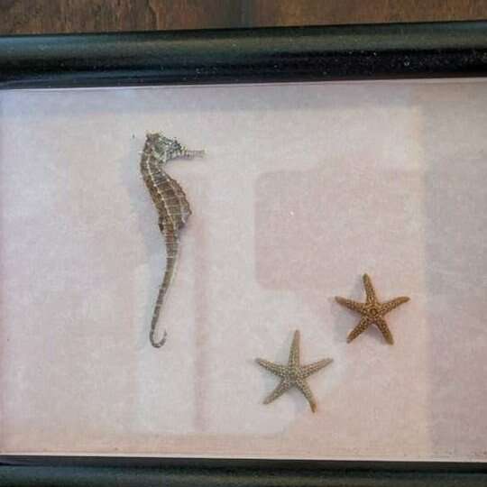 2 homemade pictures with frames