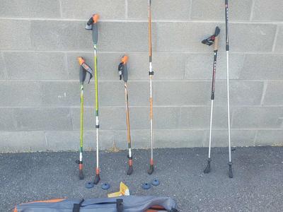 Hiking poles and snow shoe