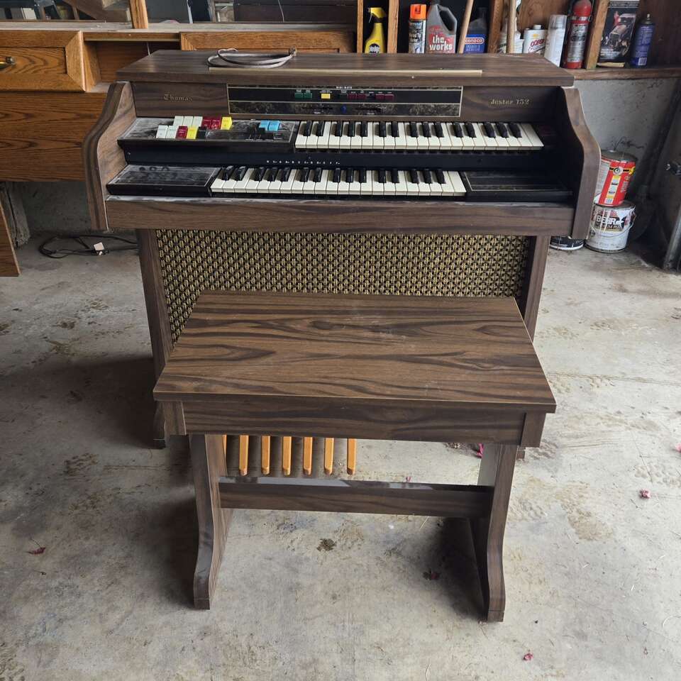 Free organ and bench