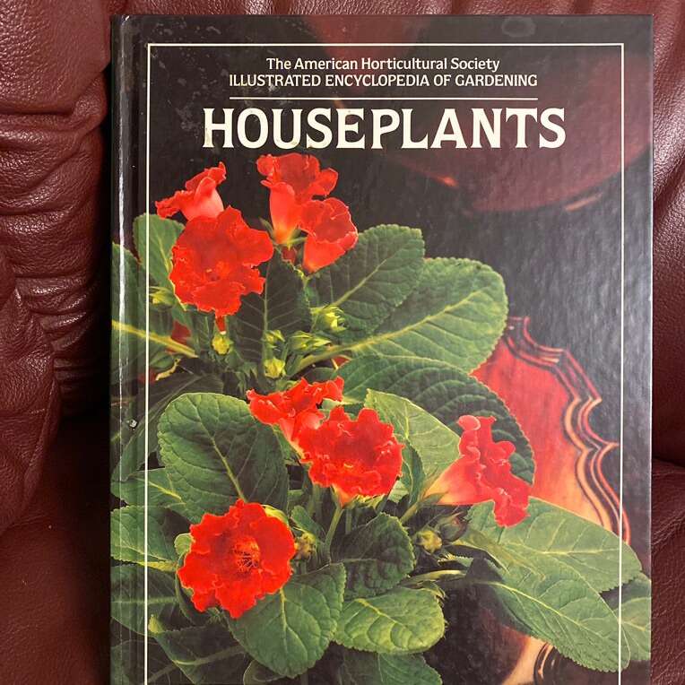 Houseplants Book For Sale
