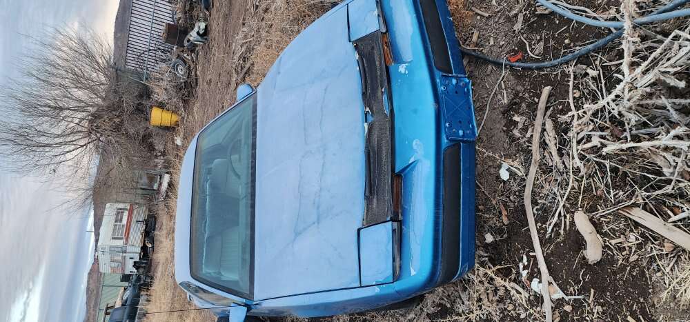 1989 pontiac firebird