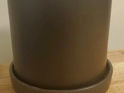 The Sill brand plant pot