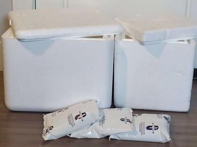 Two Styrofoam Coolers