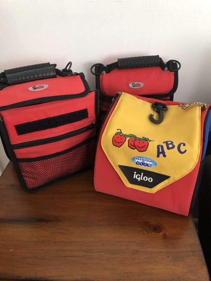 New Insulated Lunch Bags (variety)