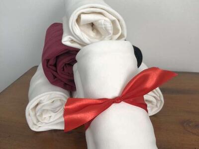 Stocking Stuffer Sale! Modbod Shirts (Made In USA)