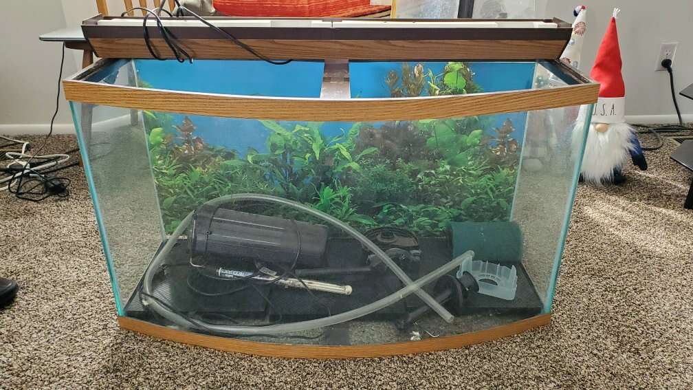 34 gallon bow front aquarium kit