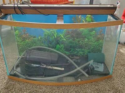 34 gallon bow front aquarium kit