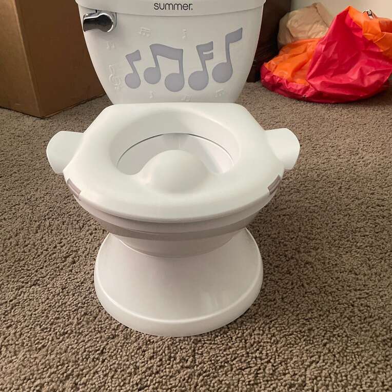 Potty Training Toilet