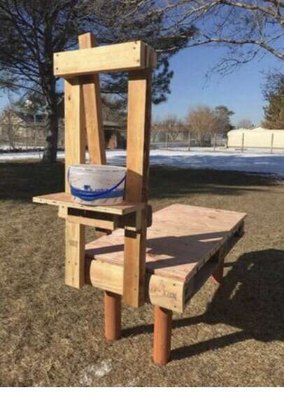 Goat Milking Stand