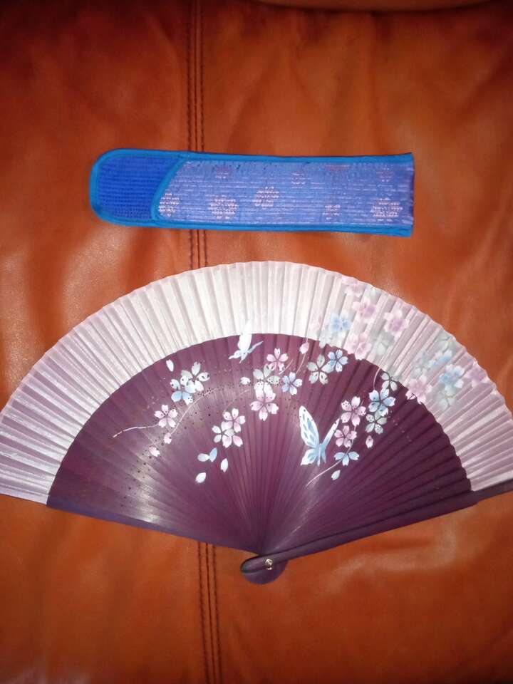 New Chinese fan and case costume