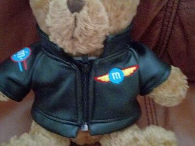 Plush stuffed Teddy bear with faux leather flight jacket