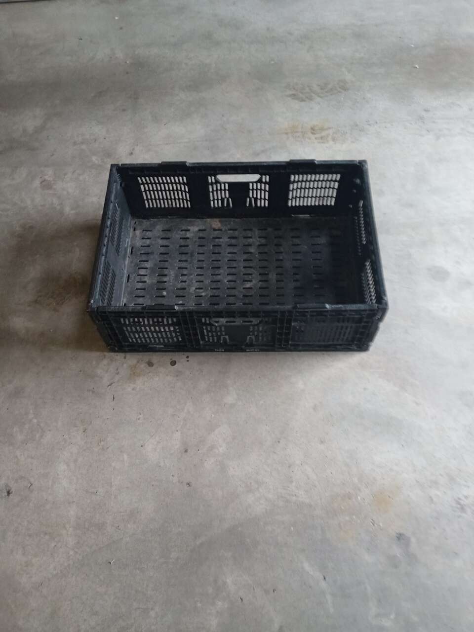 Folding collapsible crate with handles 15 1/2 in by 23 1/2 in by 8 in