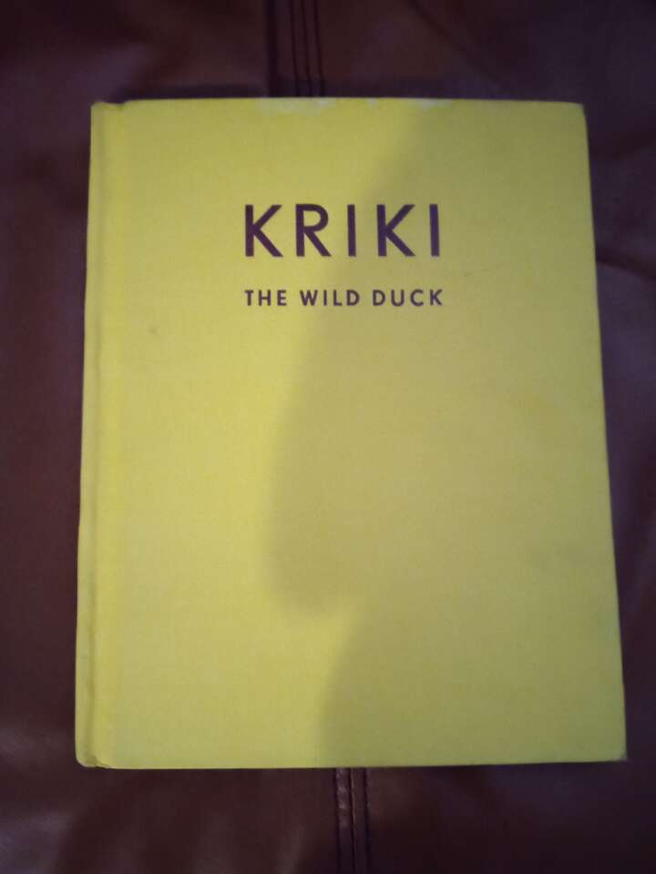 Kriki the wild duck hardcover children's book