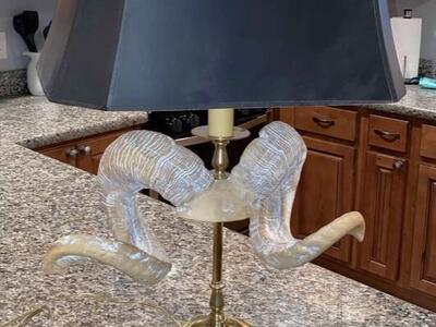 Brass Based Horn Lamp (Heavy)