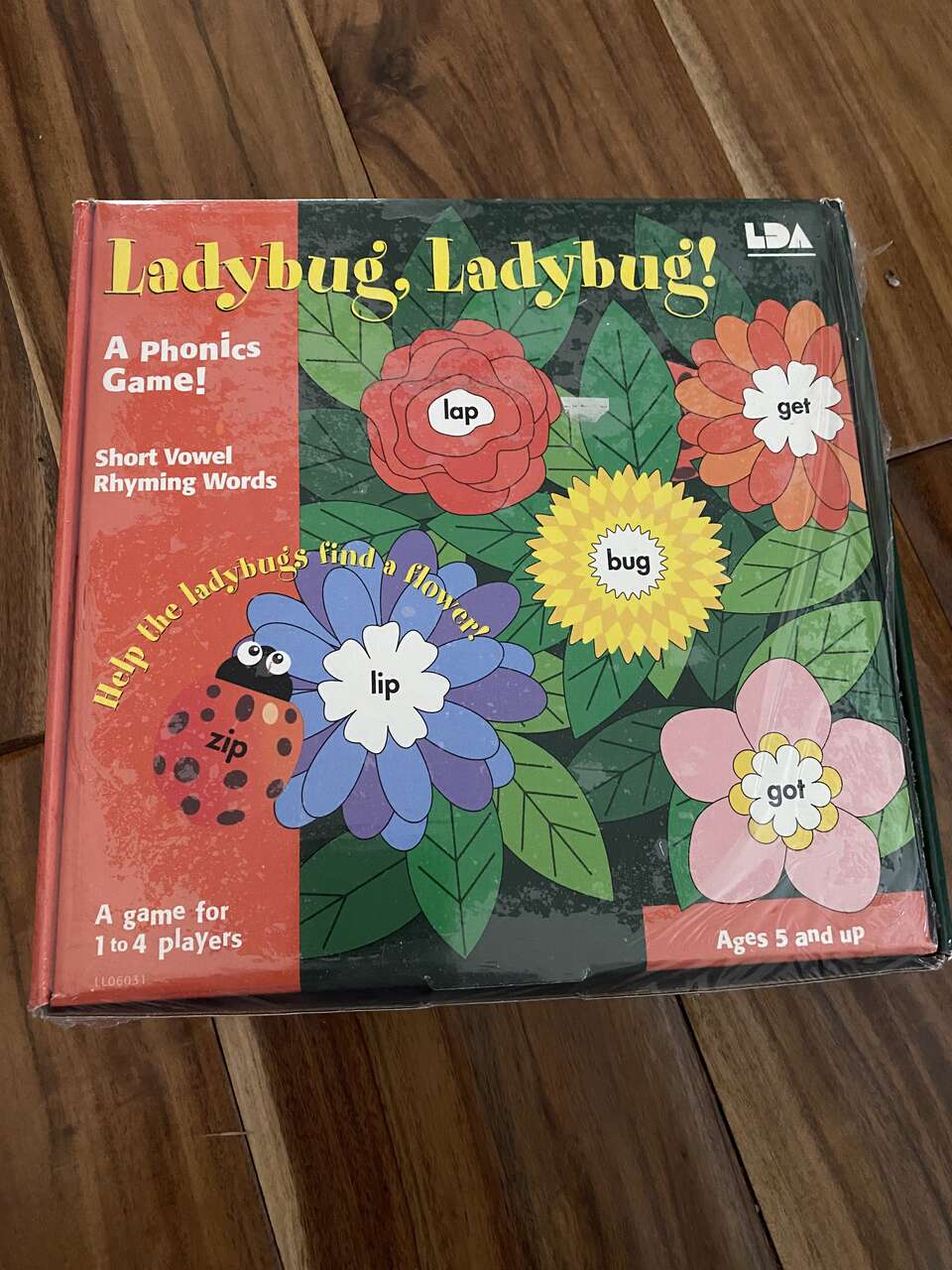 Brand New Ladybug Phonics Game