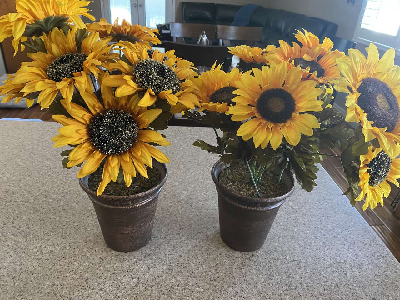 Two Sunflower Pots with Sunflowers