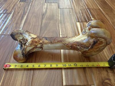 Giant Dog Bone