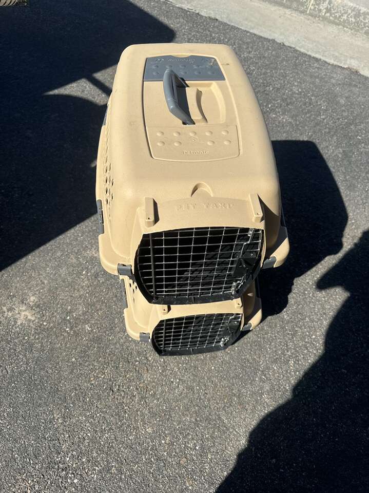 Pet Carrier